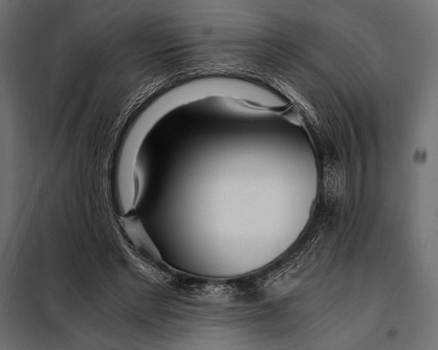 X0000098080493200804251516