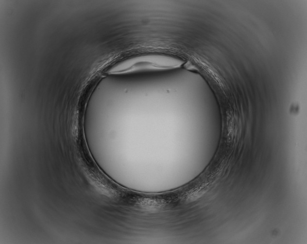 X0000098080494200804251516