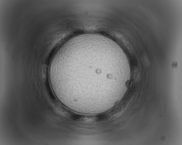 X0000098080495200804251516