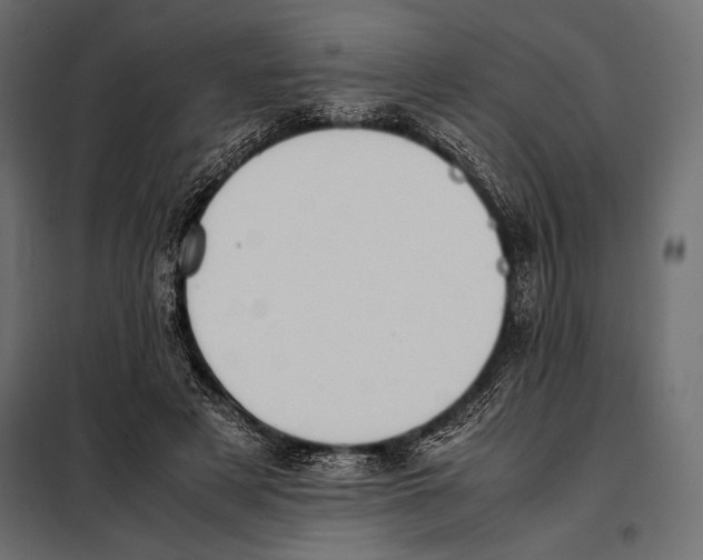 X0000098080497200804251516