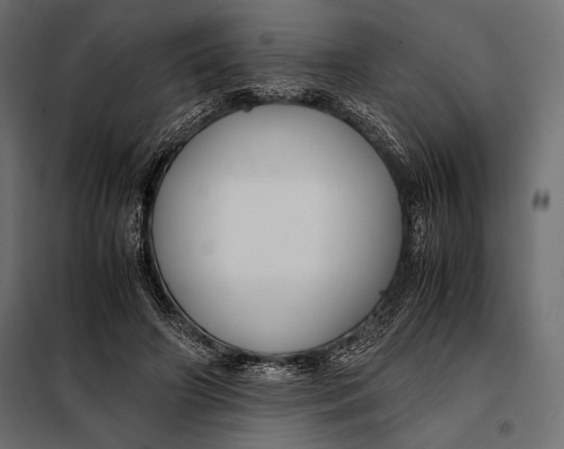 X0000098080498200804251516