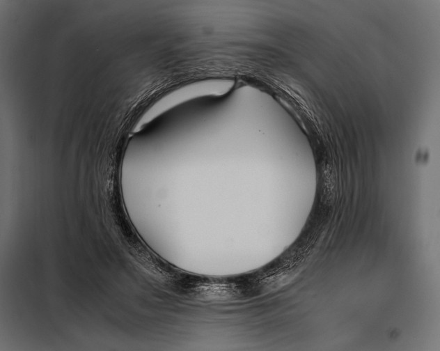 X0000098080499200804251516