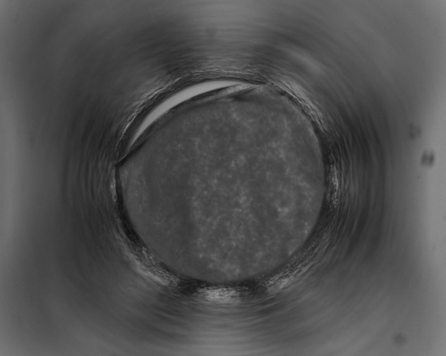 X0000098080500200804251516