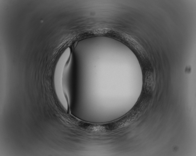 X0000098080501200804251516