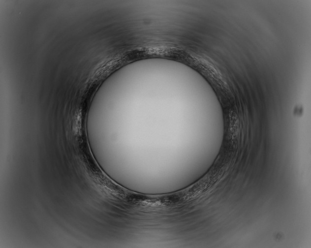 X0000098080502200804251516