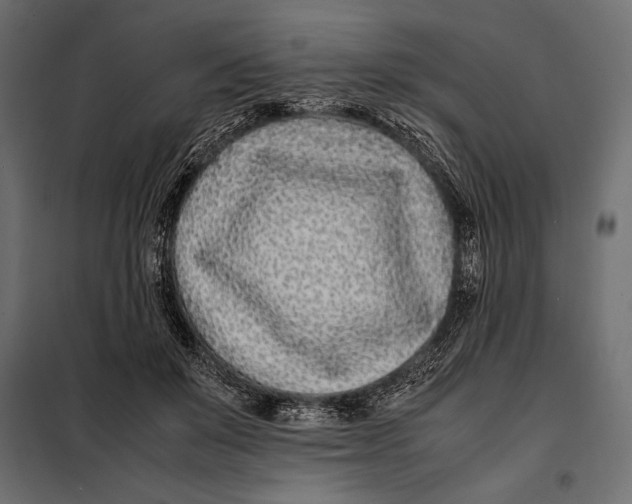 X0000098080503200804251516