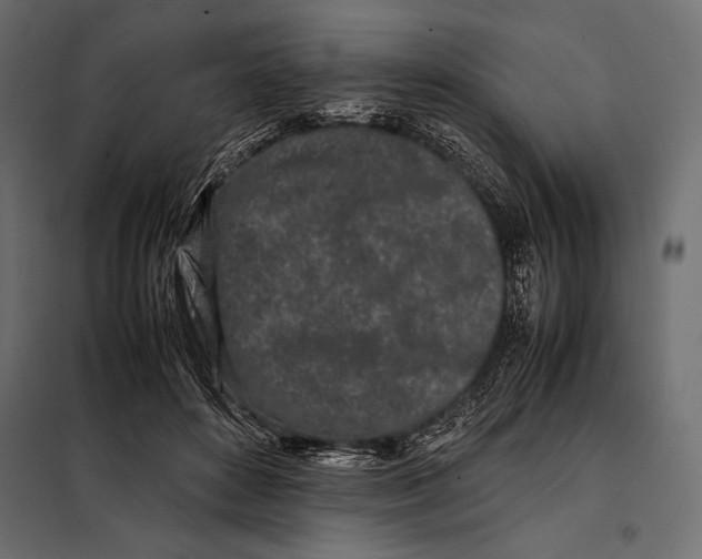 X0000098080504200804251516