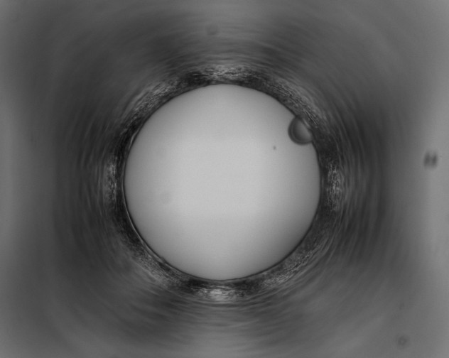 X0000098080506200804251516