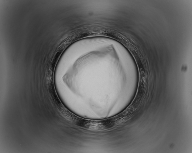 X0000098080507200804251516