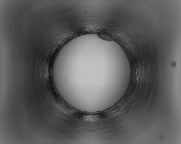 X0000098080508200804251516