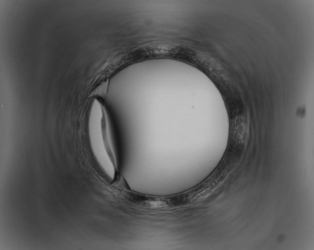 X0000098080509200804251516