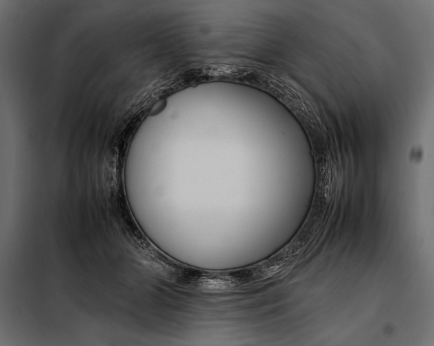 X0000098080510200804251516