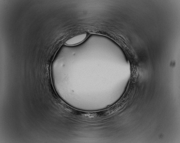 X0000098080511200804251516