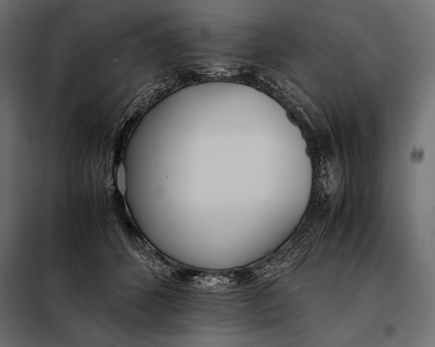 X0000098080512200804251516