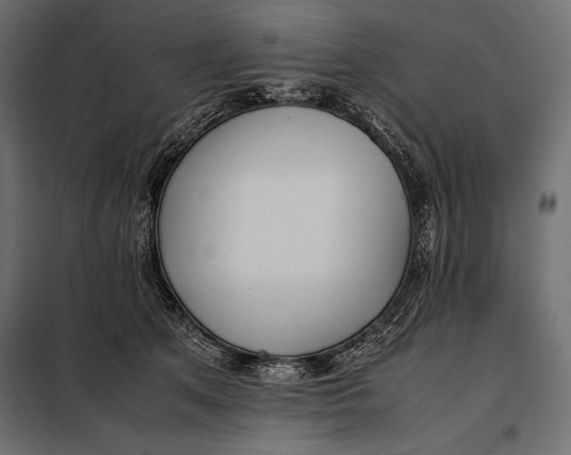 X0000098080513200804251516