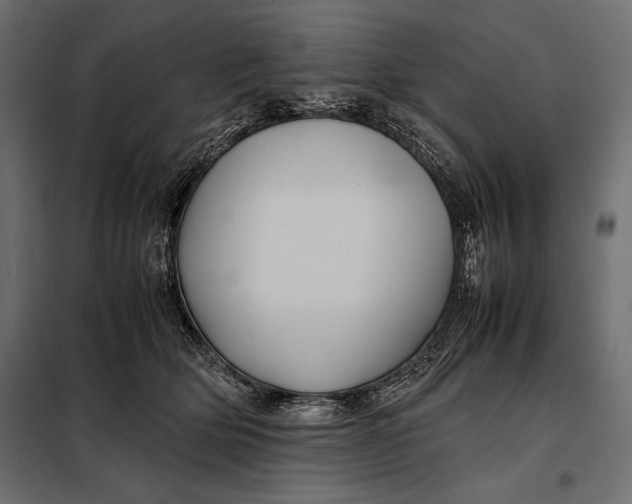 X0000098080514200804251516