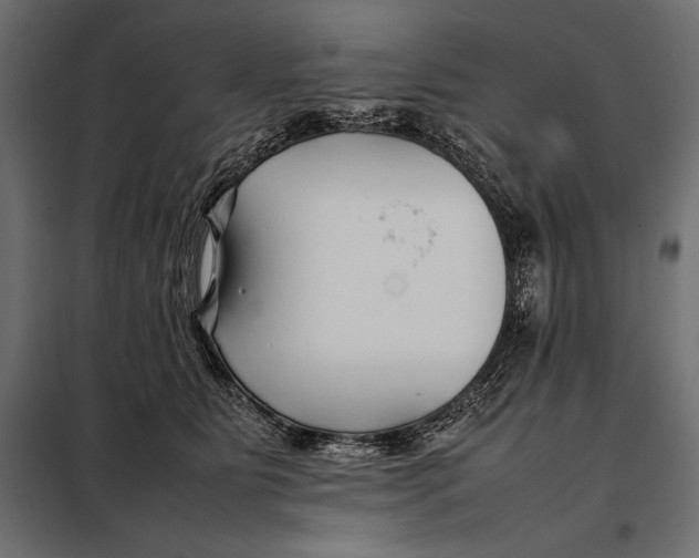 X0000098080515200804251516