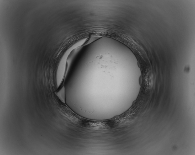 X0000098080516200804251516