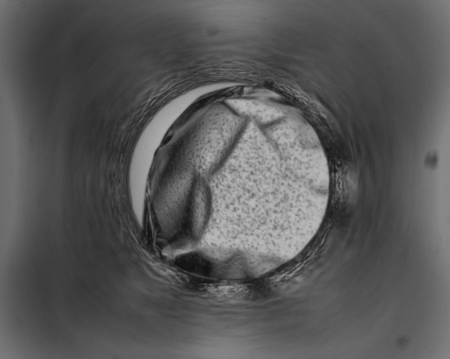 X0000098080517200804251516