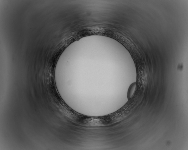 X0000098080518200804251516