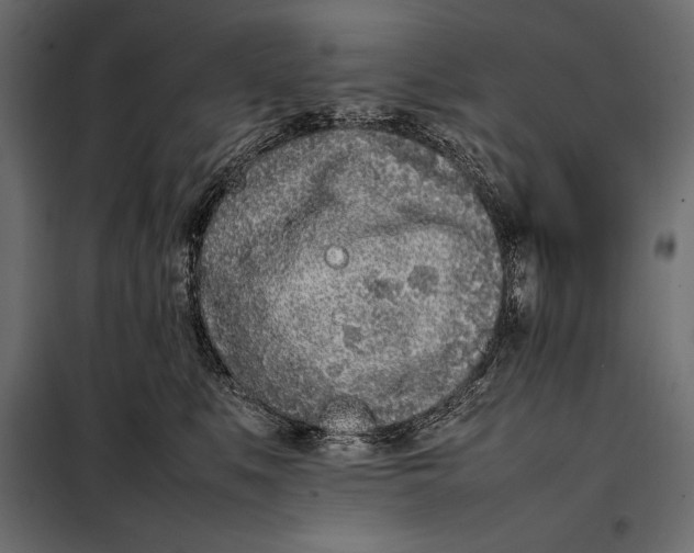 X0000098080519200804251516