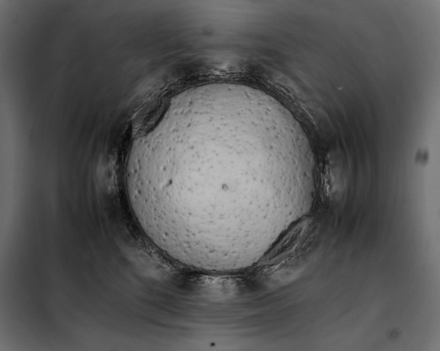 X0000098080520200804251516