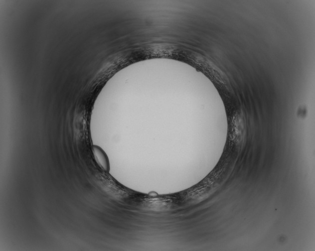 X0000098080522200804251516