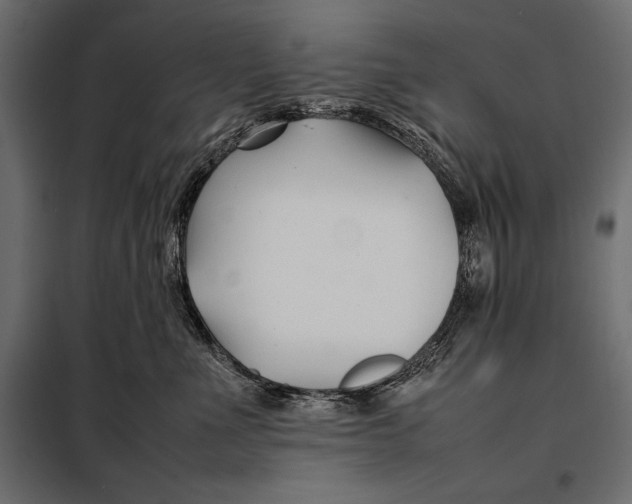 X0000098080523200804251516