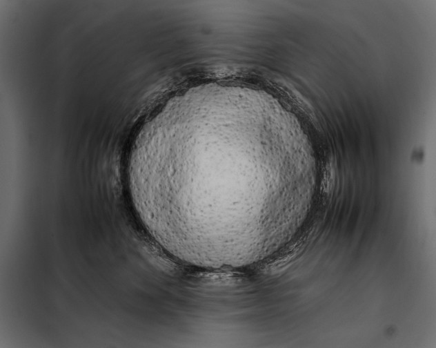 X0000098080524200804251516