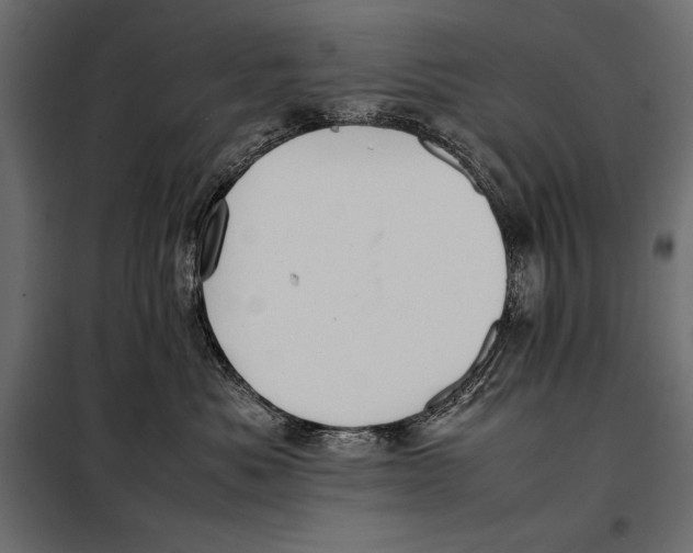 X0000098080525200804251516