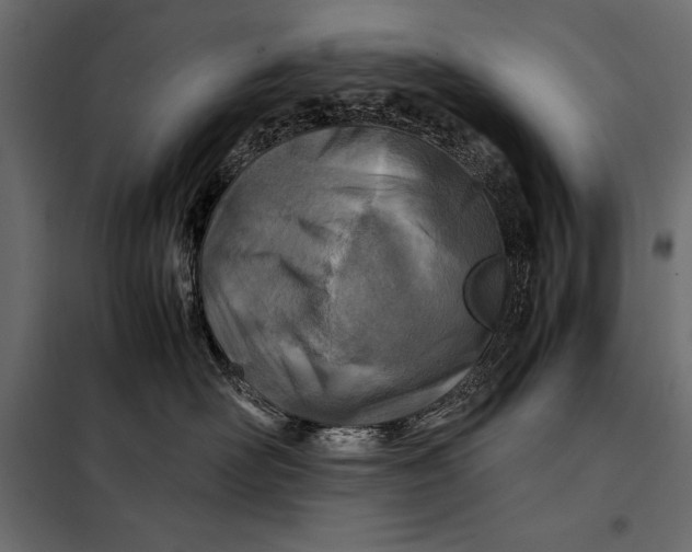 X0000098080526200804251516