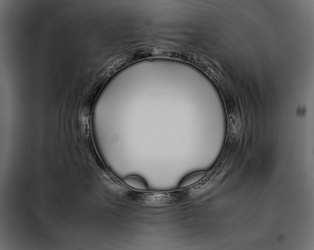 X0000098080527200804251516