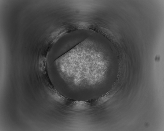 X0000098080528200804251516