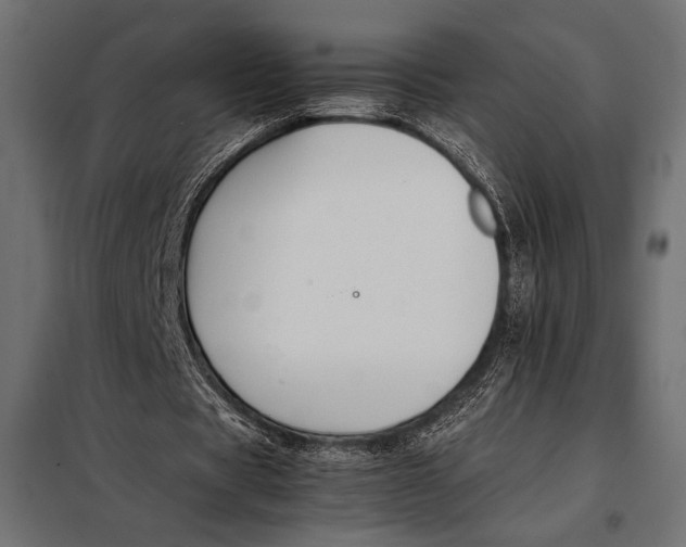 X0000098080529200804251515