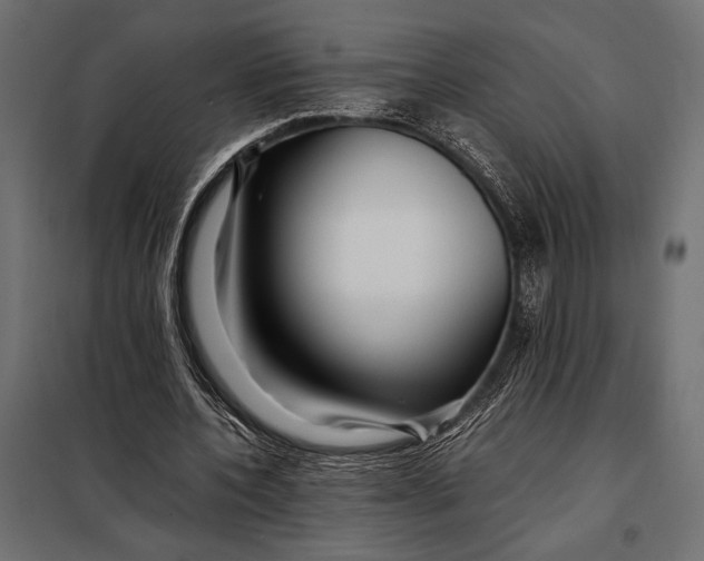 X0000098080532200804251515