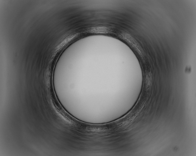 X0000098080533200804251515