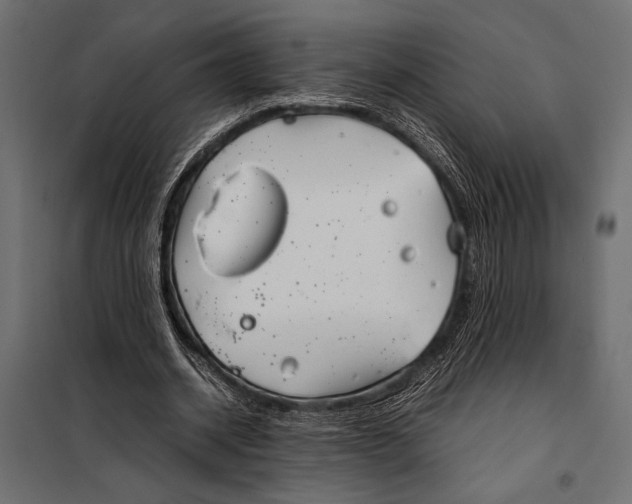 X0000098080534200804251515