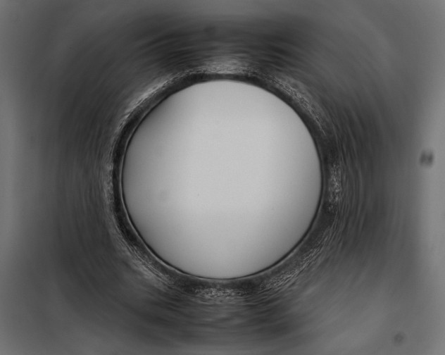 X0000098080535200804251515