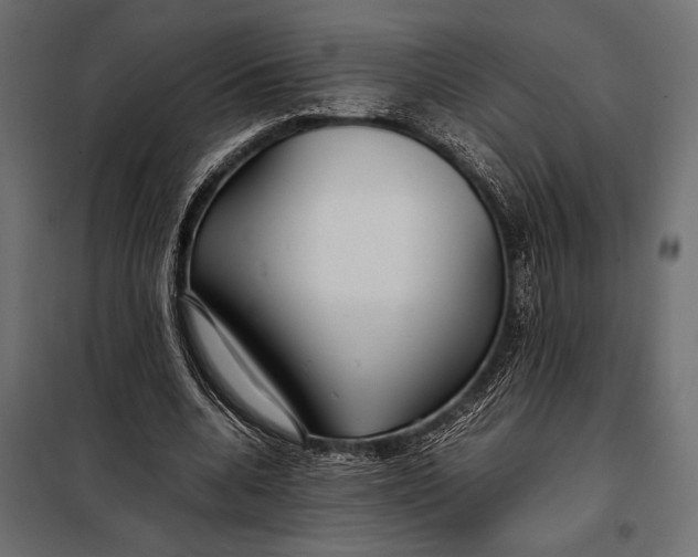 X0000098080536200804251515