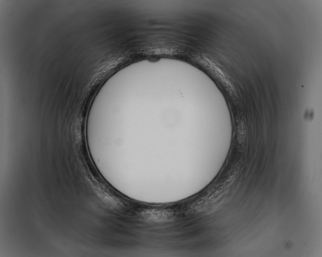 X0000098080537200804251515