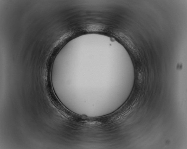 X0000098080539200804251515