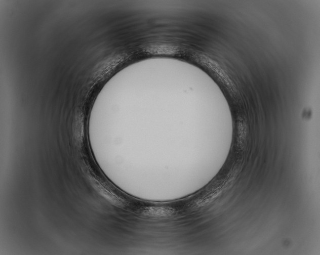 X0000098080541200804251515