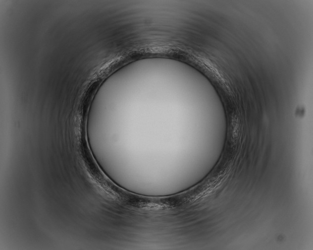 X0000098080542200804251515