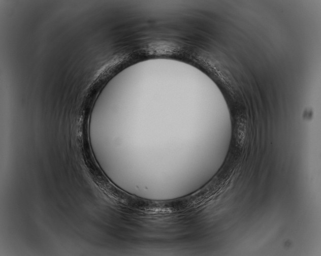 X0000098080543200804251515