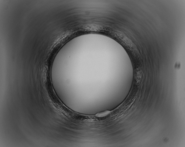 X0000098080544200804251515