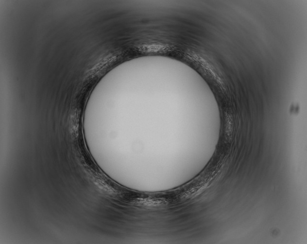 X0000098080545200804251515