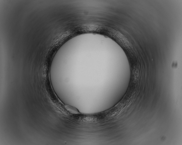 X0000098080546200804251515