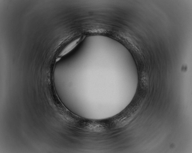 X0000098080547200804251515