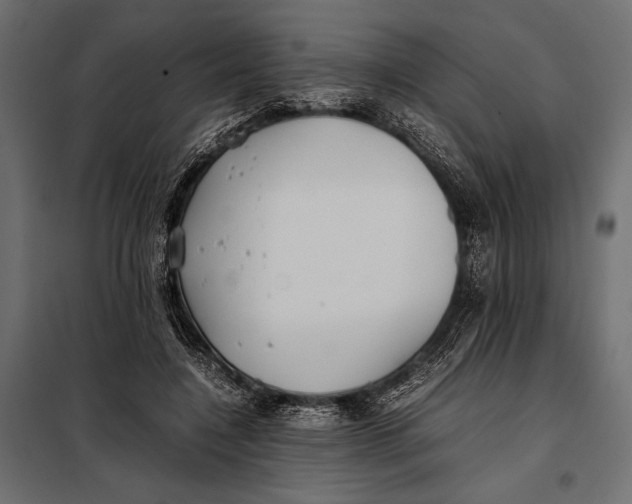 X0000098080548200804251515