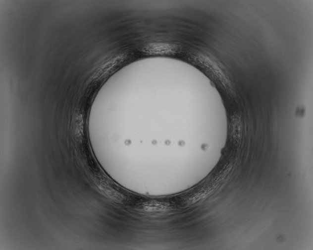 X0000098080549200804251515